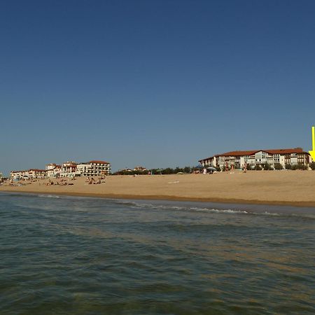 La Dune D'Or - Vue Mer, Studio Face A La Plage Avec Terrasse Soorts-Hossegor Kültér fotó
